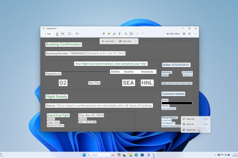 Screenshot of redaction of extracted text in Snipping Tool