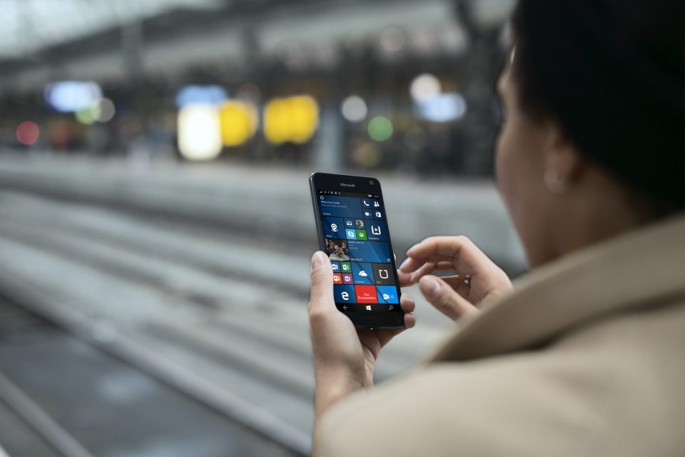 person using Microsoft Lumia phone to search
