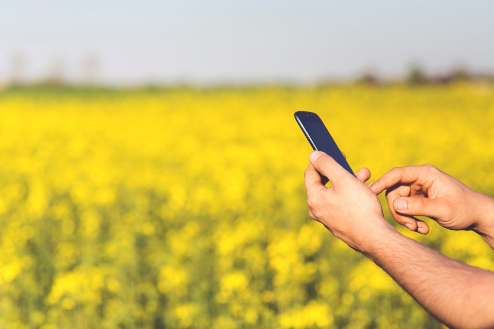 Man holding mobile phone in field