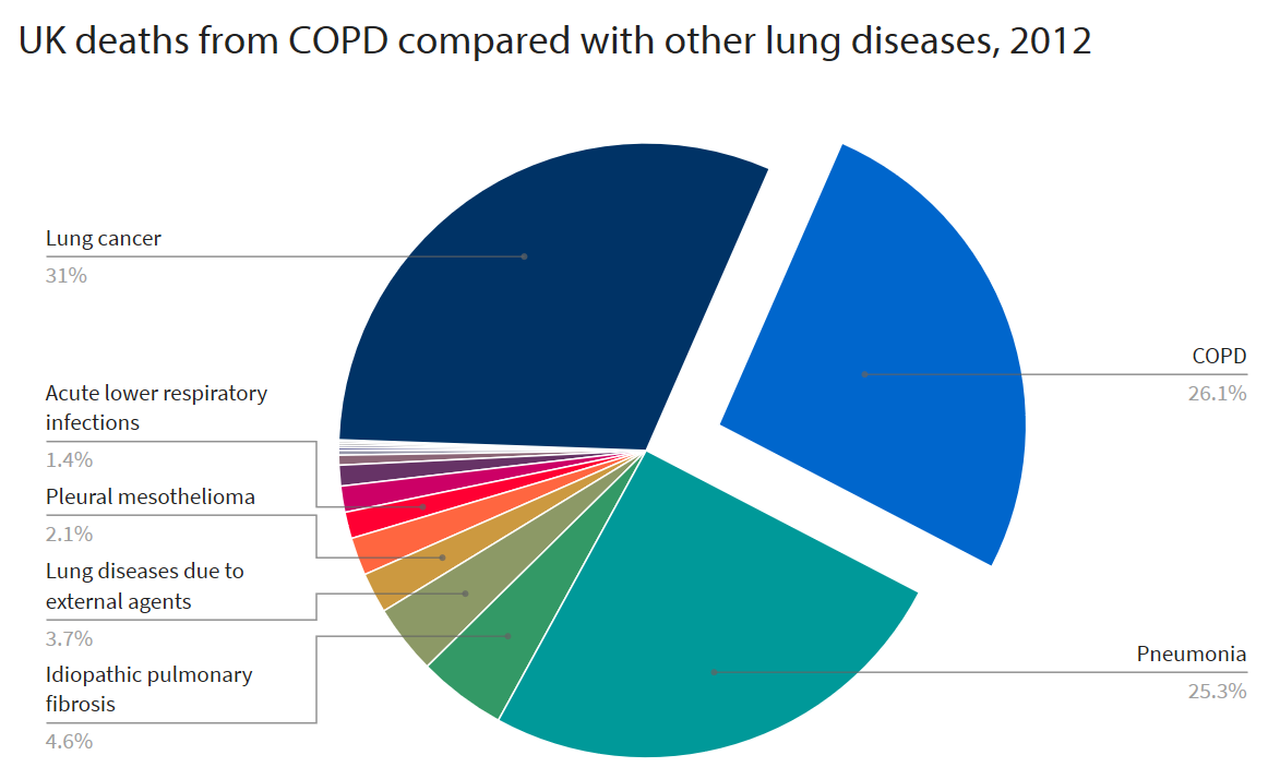 Chart showing UK deaths from COPD compared with other lung diseases
