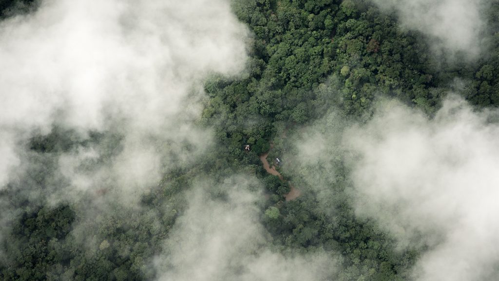 Aerial view of a rain forest through white clouds