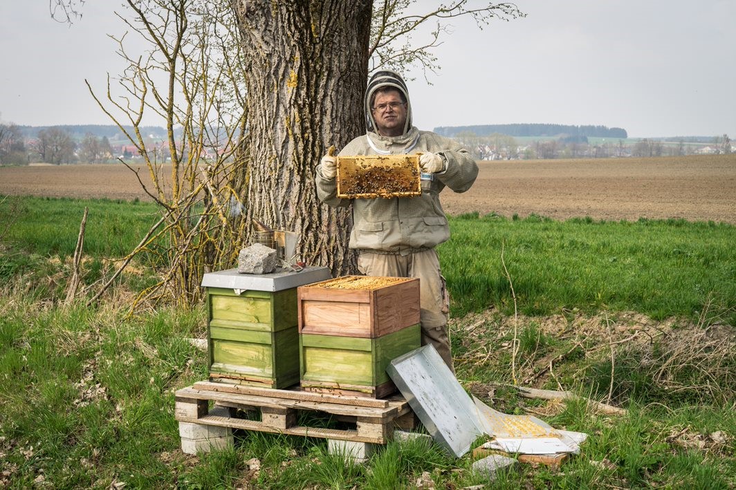 Artificial beehives