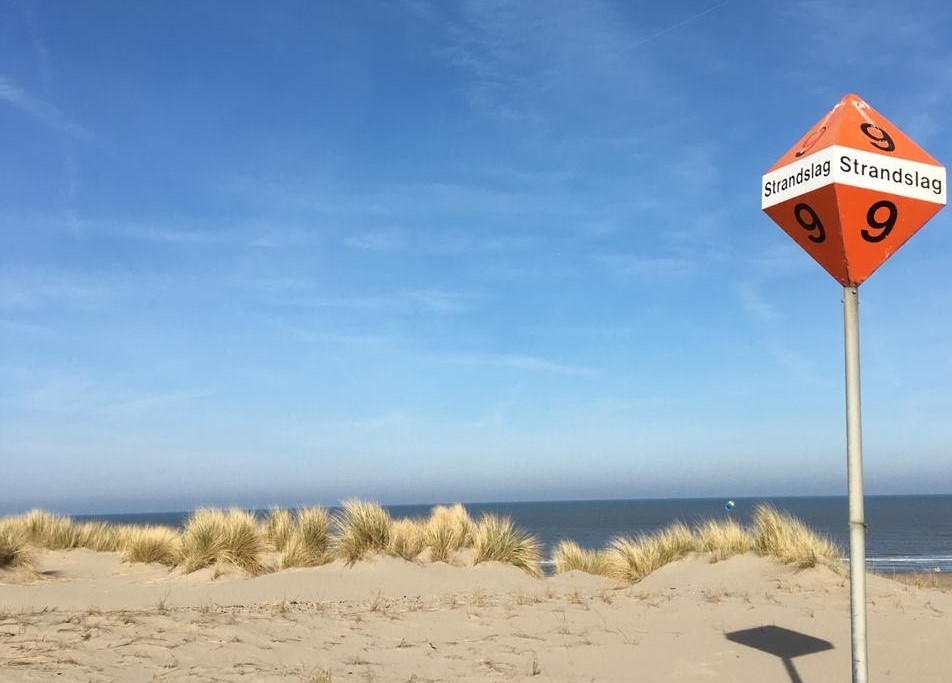A beach dune at Scheveningen Beach with the Atlantic Ocean in the background